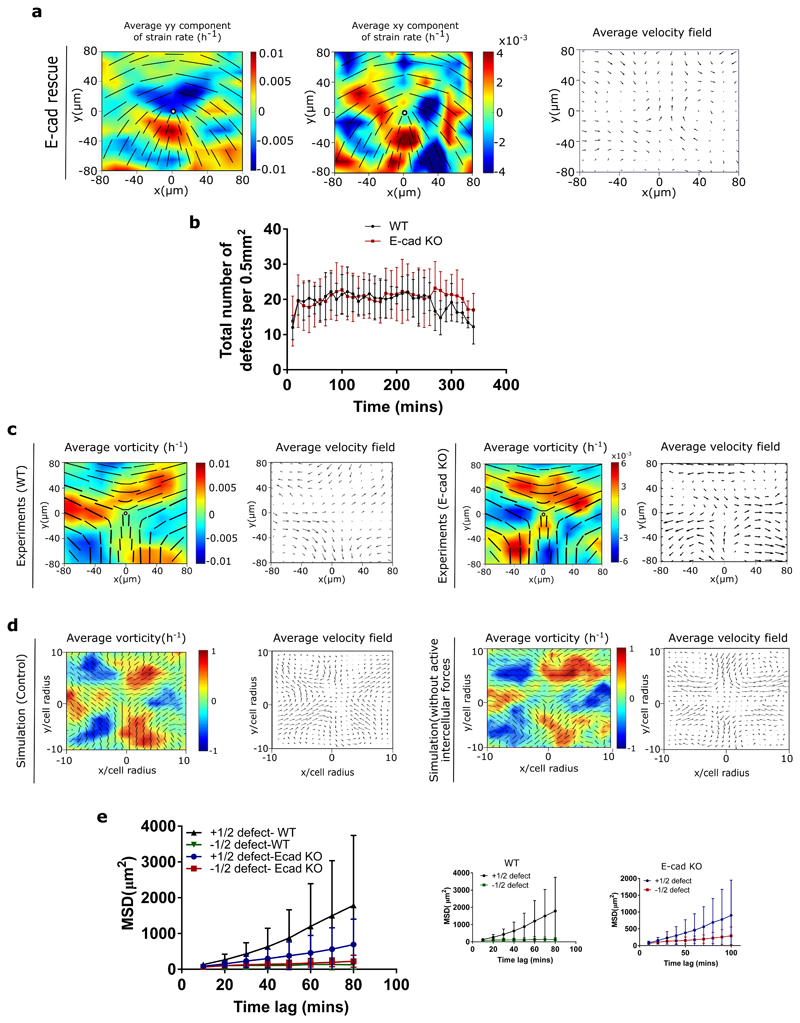 Extended Data Fig. 5