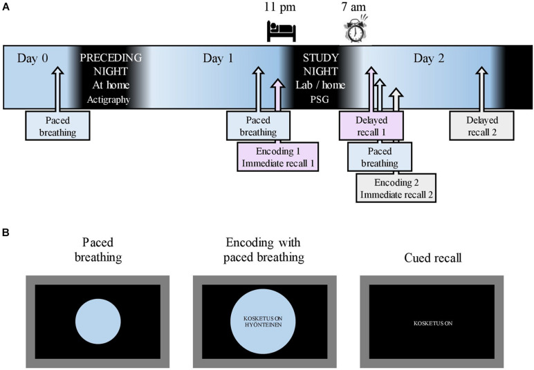 FIGURE 1