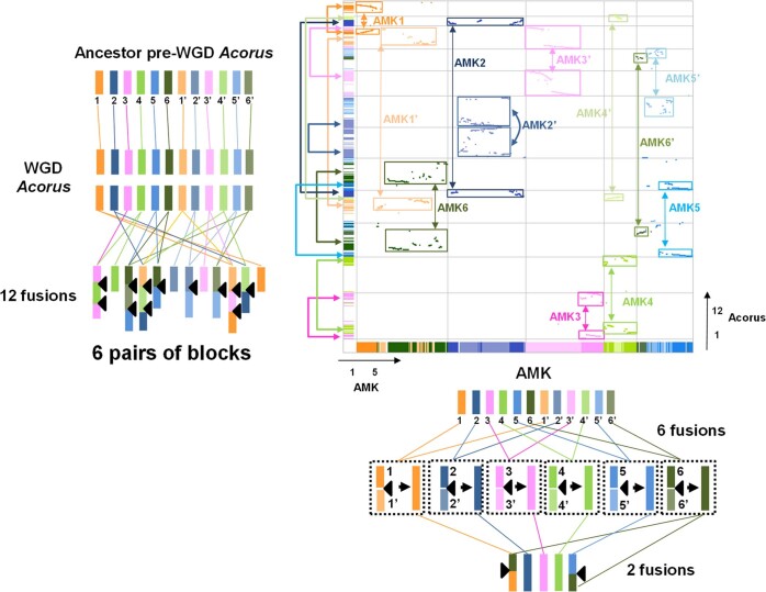 Extended Data Fig. 6