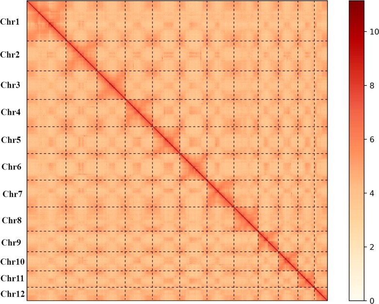 Extended Data Fig. 1