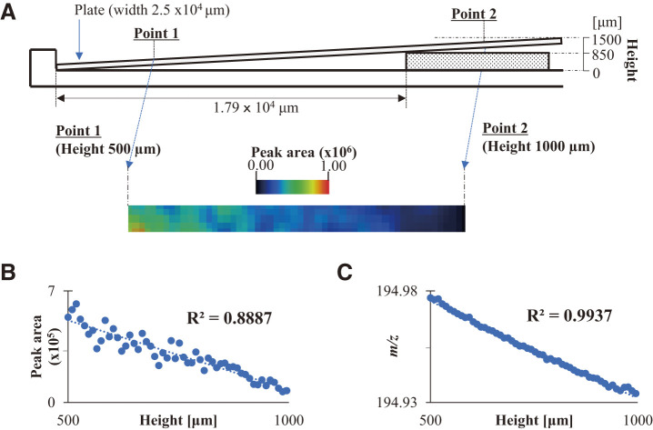 Fig. 2. The setup of (A) the SALDI sample plate placed diagonally for SALDI-MSI and the correlation plots (B) between the peak area and sample position at heights, and (C) between the exact m/z values and sample position at heights in the range 500–1000 μm. SALDI-MSI, surface-assisted laser desorption/ionization-mass spectrometry imaging.