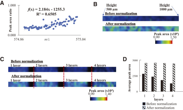 Fig. 5. The correlation plots (A) between the exact m/z values and the peak area ratio for the copper(II)-phthalocyanine ion. The SALDI image before and after normalization for the ion from (B) ink-coated plate and (C) layered paper with printing ink, and (D) the comparison of average peak areas before and after normalization for the layered paper. SALDI, surface-assisted laser desorption/ionization.