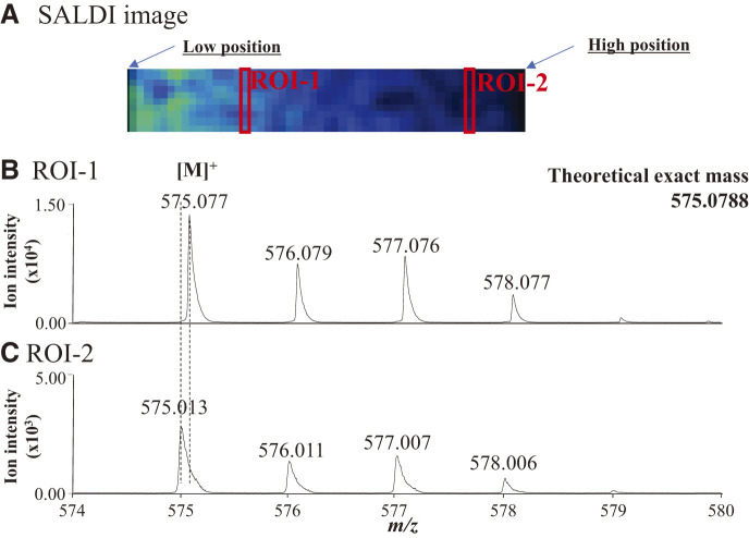 Fig. 1. SALDI image of (A) copper(II)-phthalocyanine ion in blue toner ink and the mass spectra in (B) ROI-1 and (C) ROI-2. SALDI, surface-assisted laser desorption/ionization.