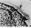 790-5