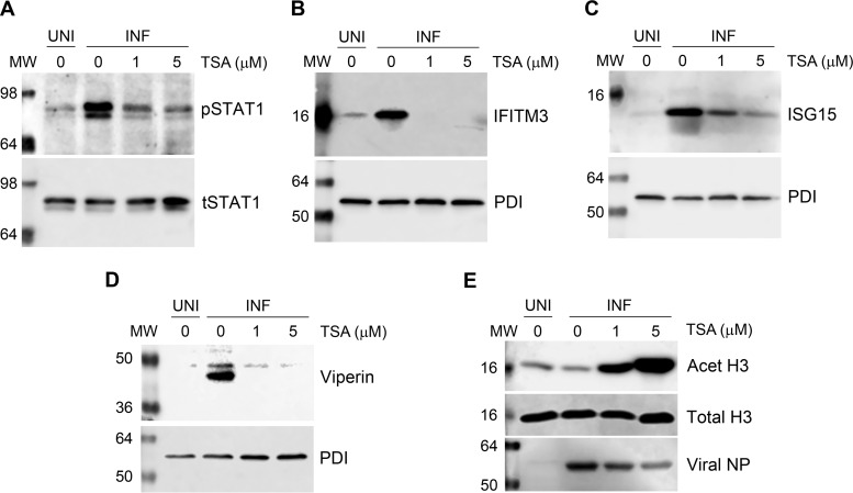 FIG 6