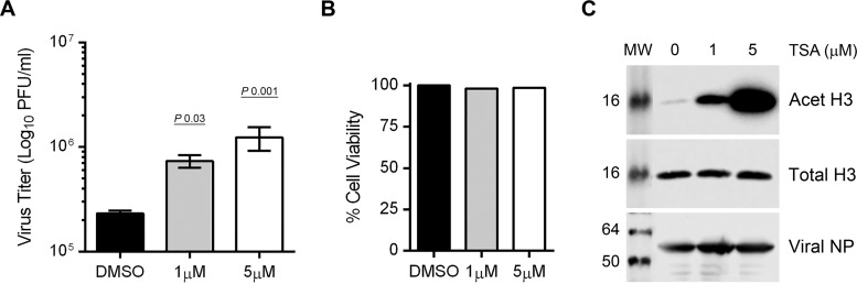 FIG 5