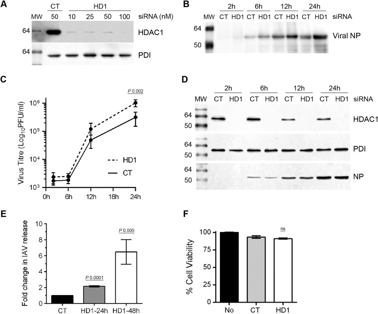 FIG 2