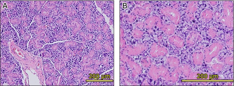 Fig. 7