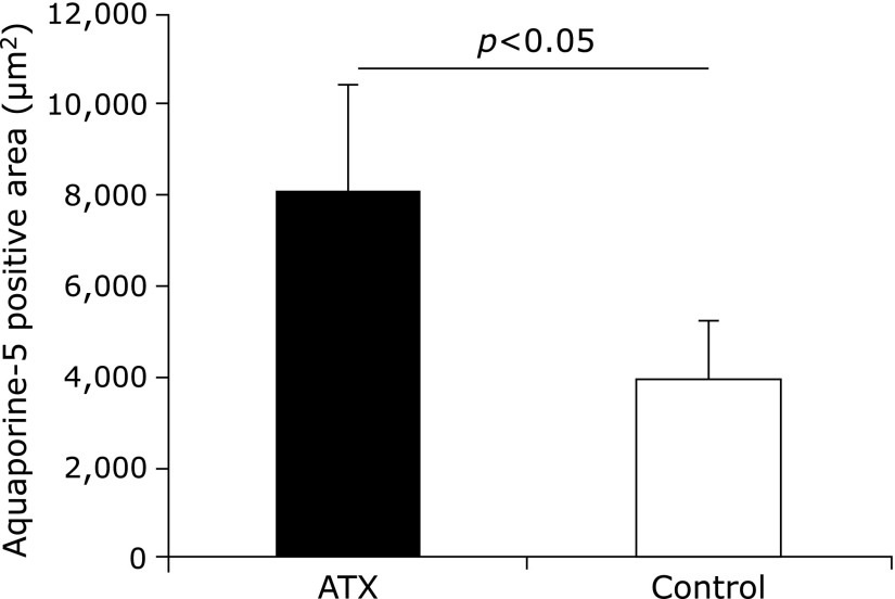 Fig. 10