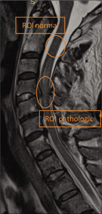 Figure 1: