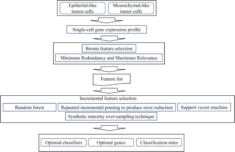 FIGURE 1