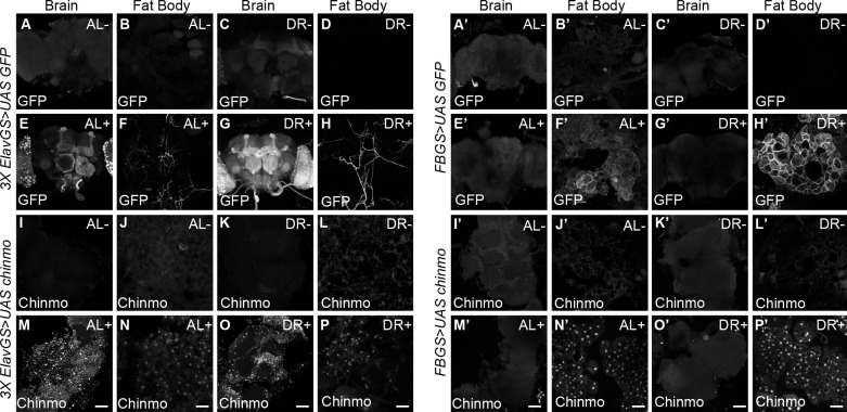 Figure 6—figure supplement 2.