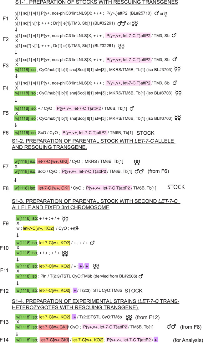 Figure 1—figure supplement 1.