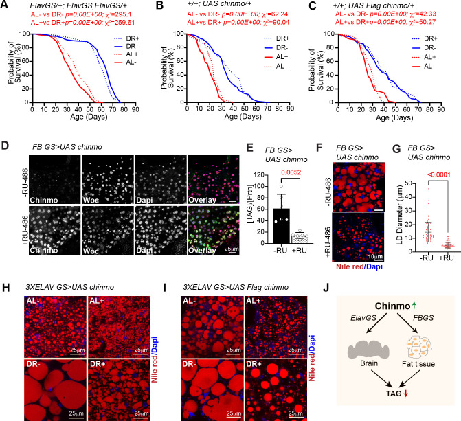 Figure 6—figure supplement 1.