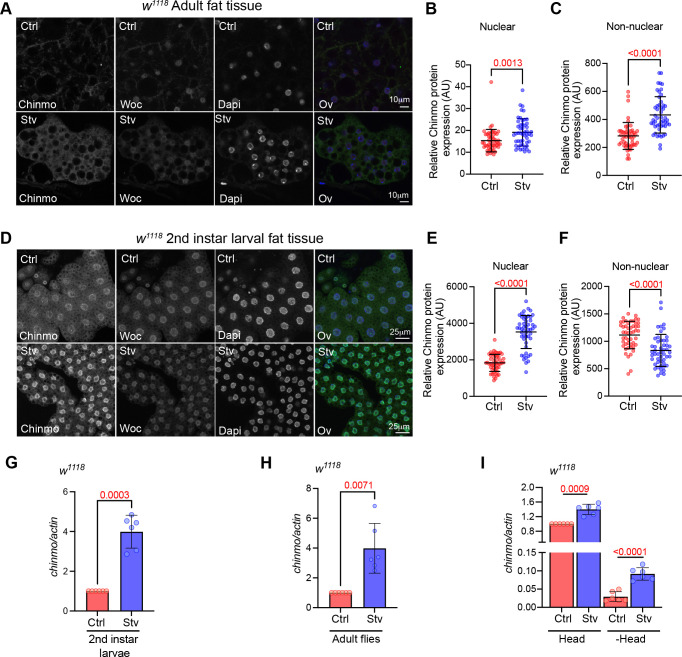 Figure 4—figure supplement 2.