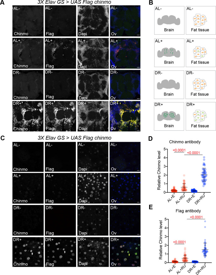 Figure 6—figure supplement 3.