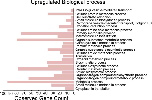 Figure 7—figure supplement 2.