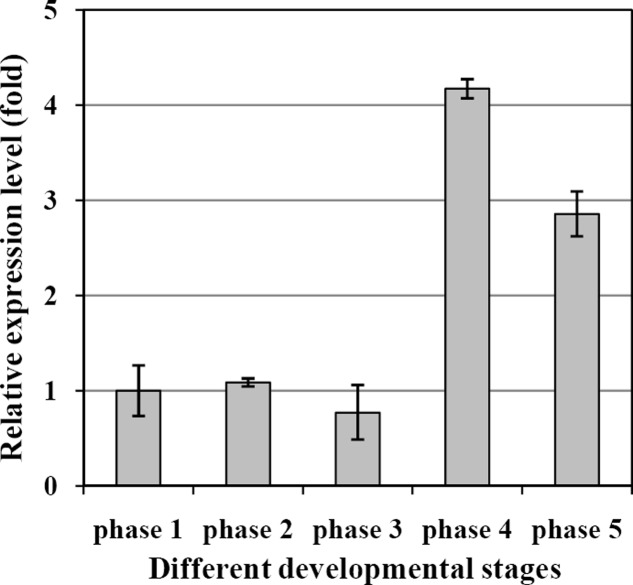 FIGURE 3