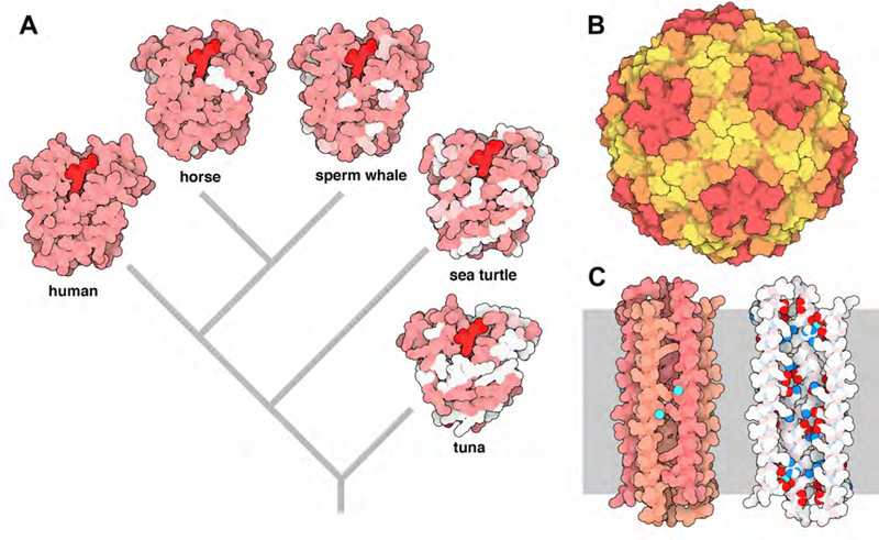 Figure 3.