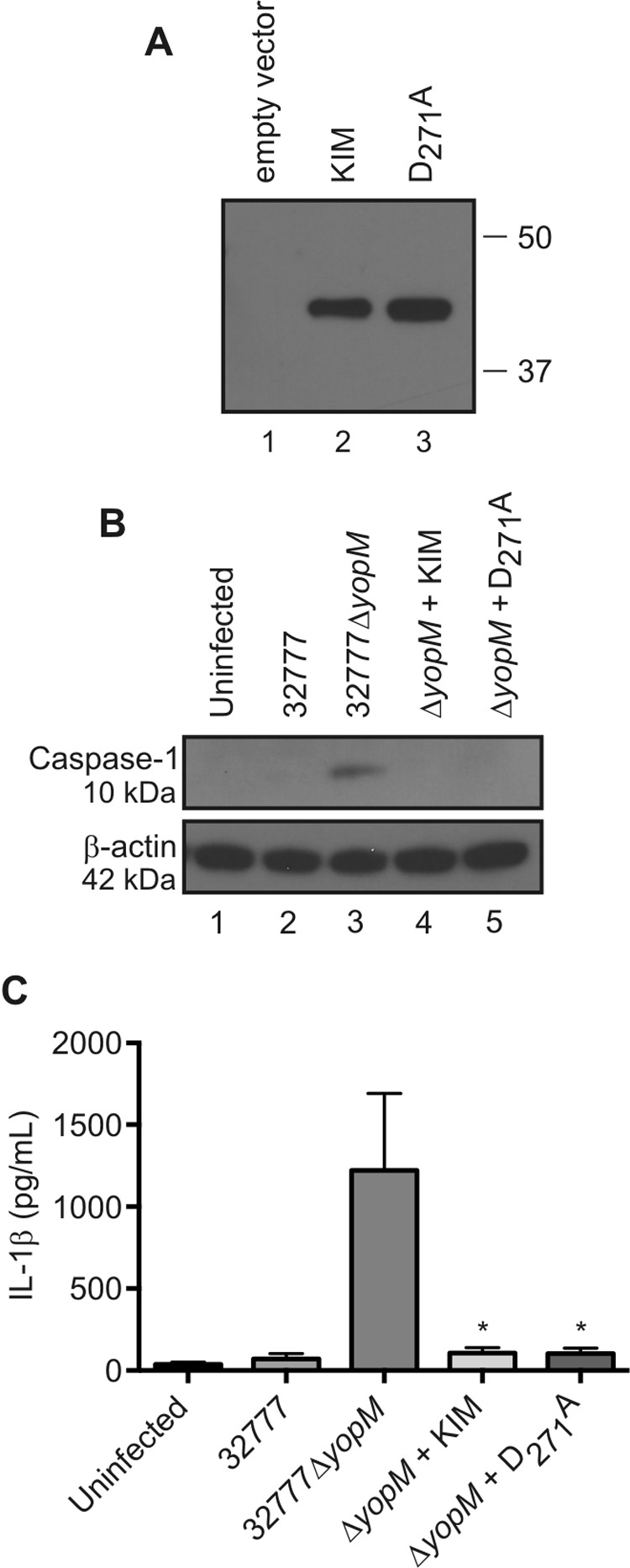 FIG 6 