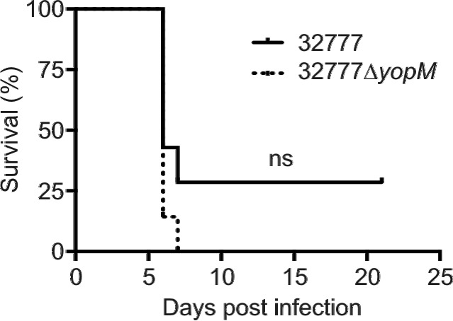 FIG 2 