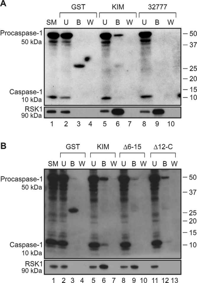 FIG 4 