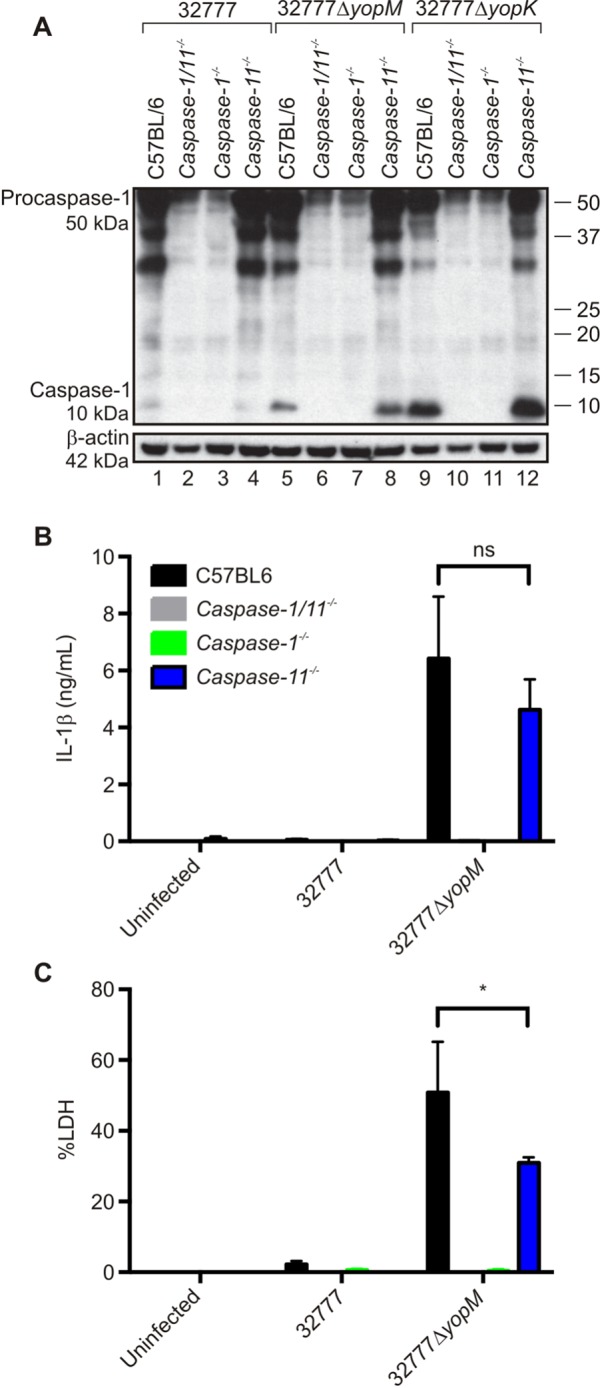 FIG 3 