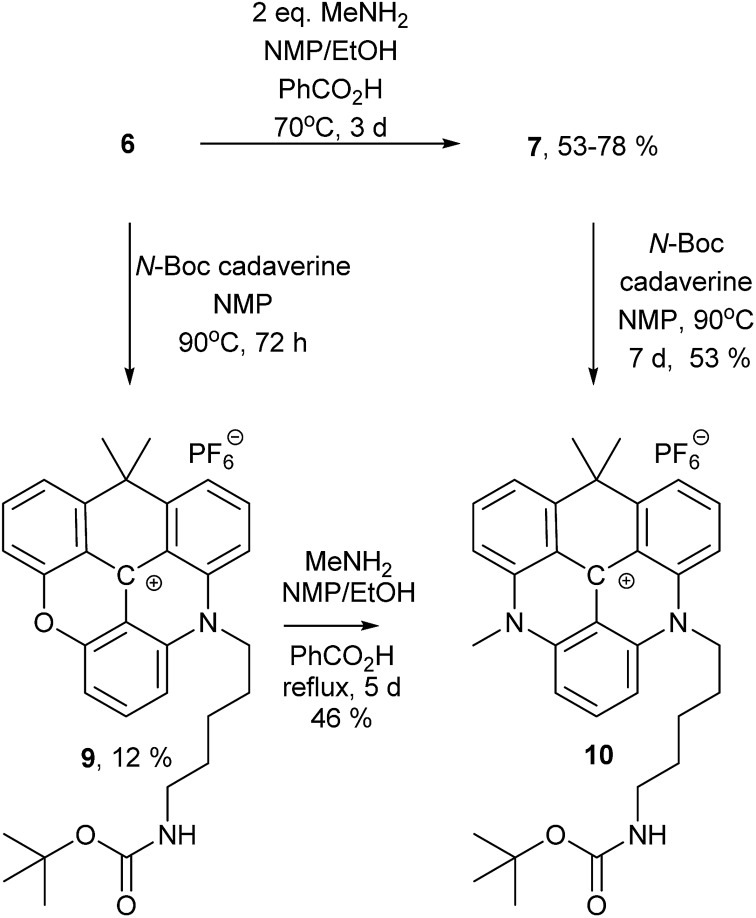 Scheme 2