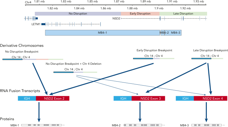 Figure 4.