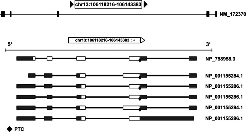 Fig. 2