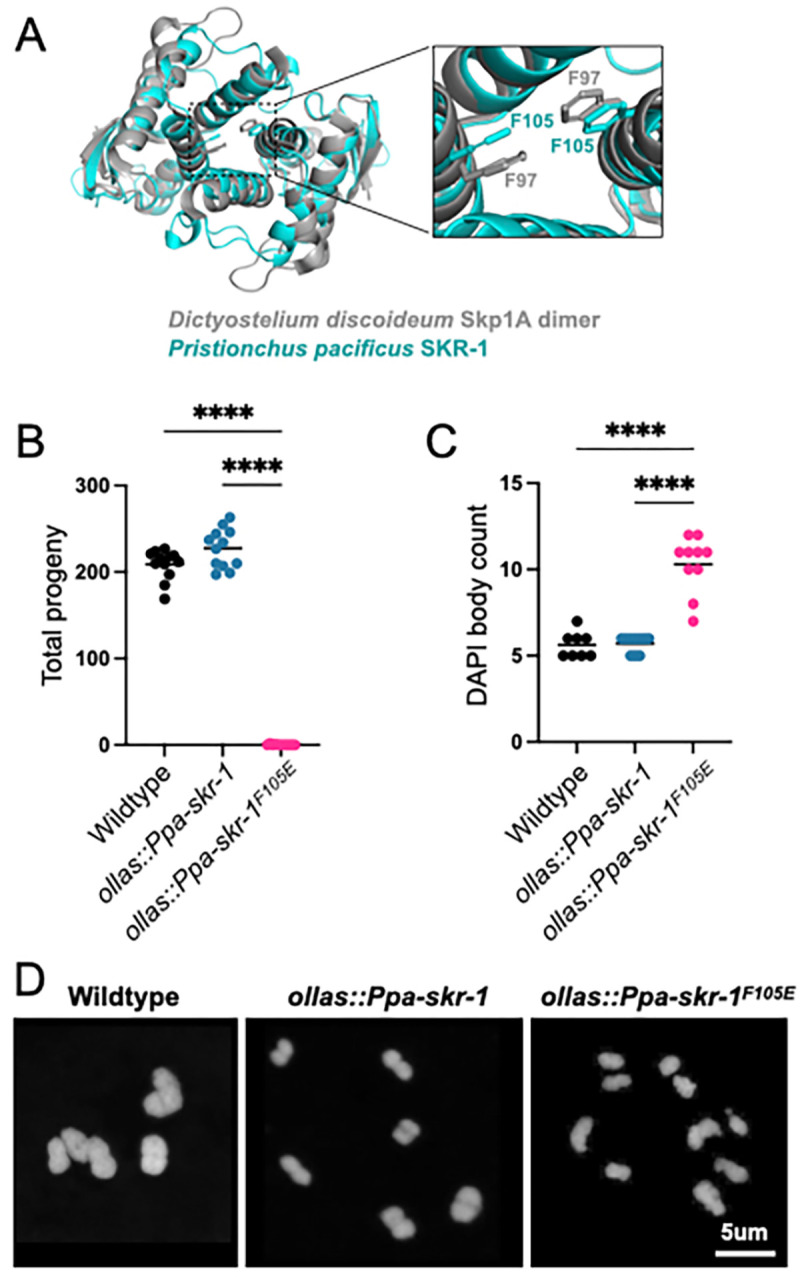 Figure 2: