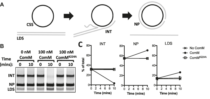 Figure 5.