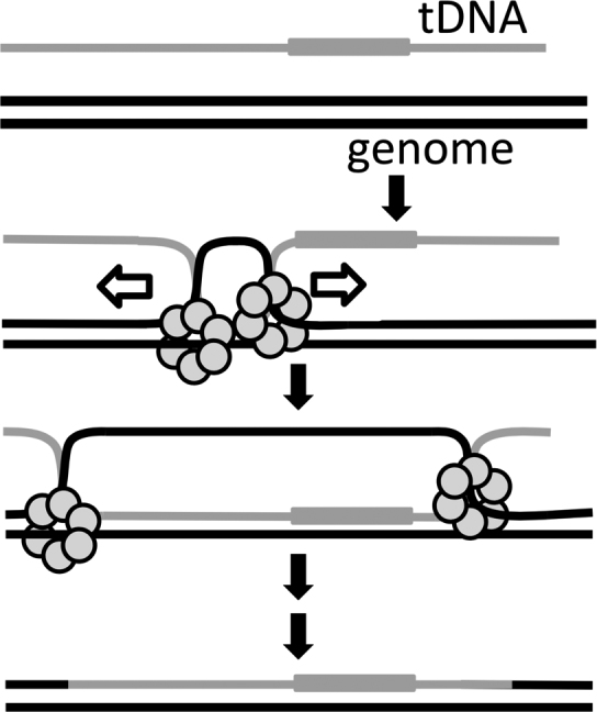 Figure 8.