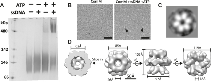 Figure 3.