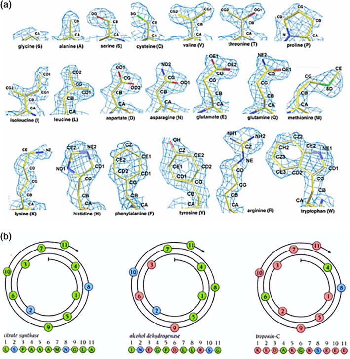 FIGURE 15