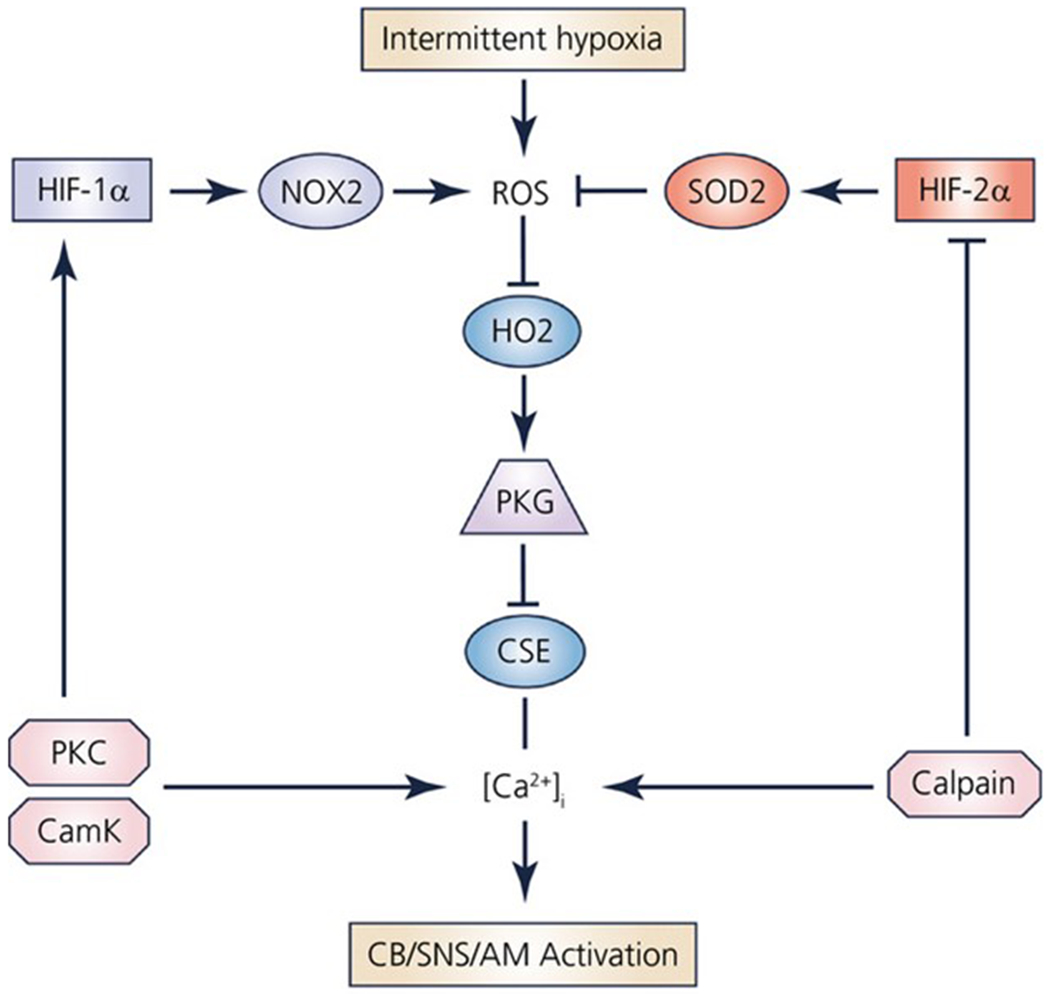 Figure 3: