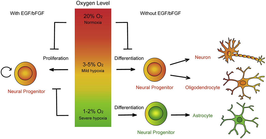 Figure 4: