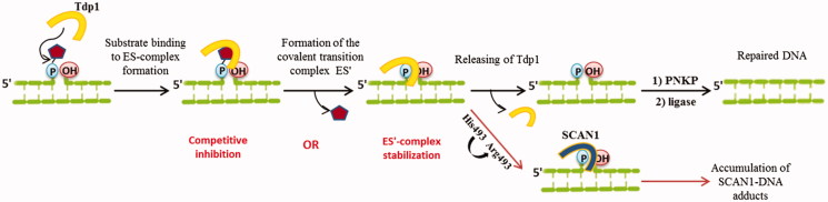 Figure 5.