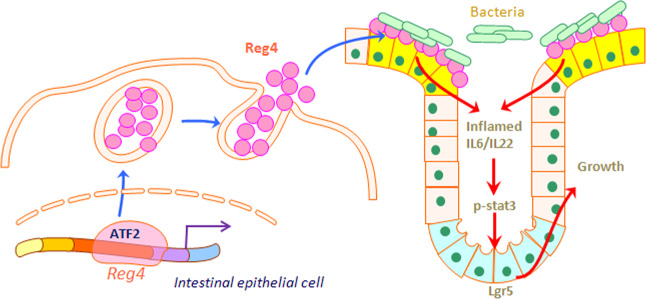 Fig. 9