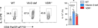 Figure 3—figure supplement 2.