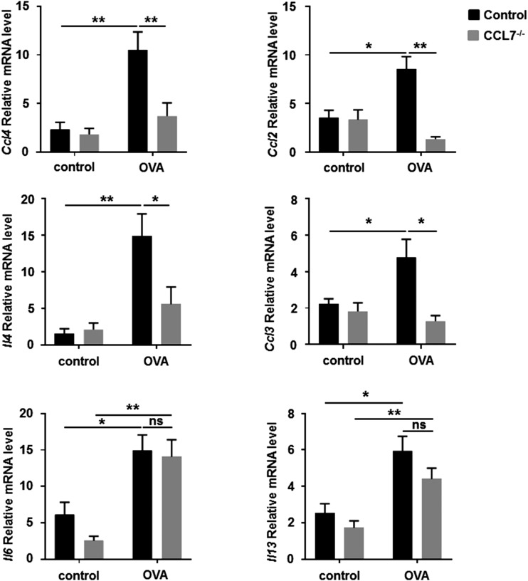 FIGURE 11.