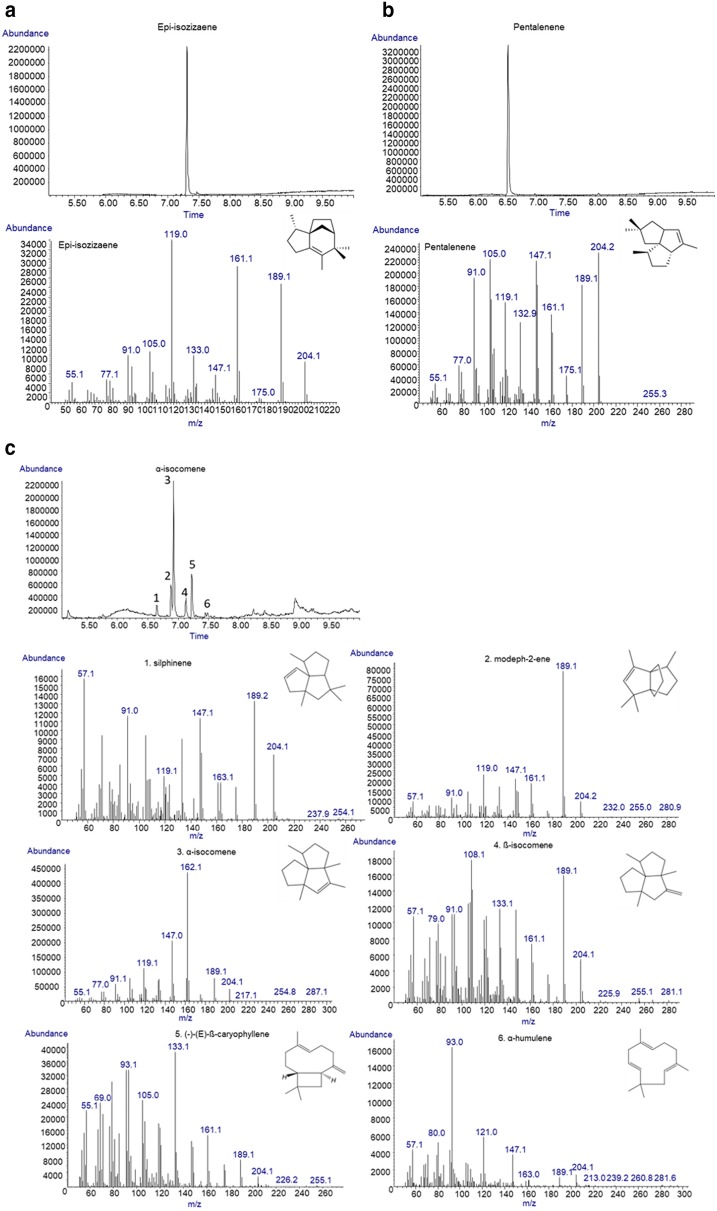 Fig. 2