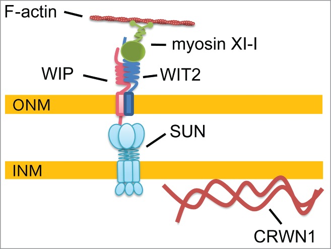 Figure 6.