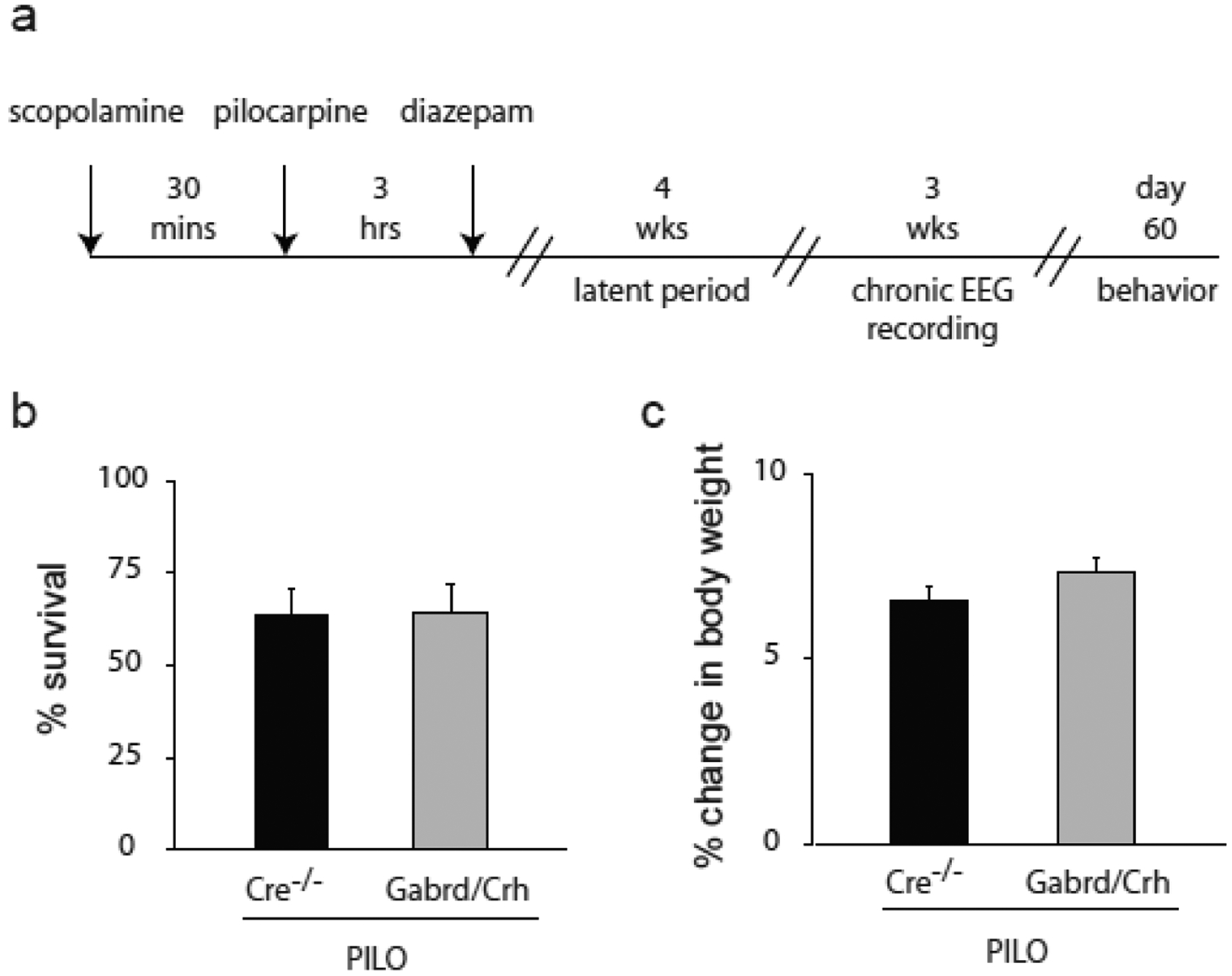 Figure 5: