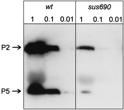FIG. 1