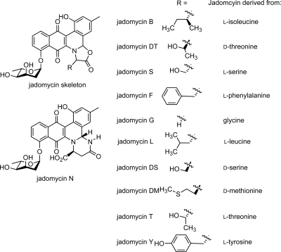 FIG. 2.