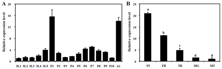 Figure 5