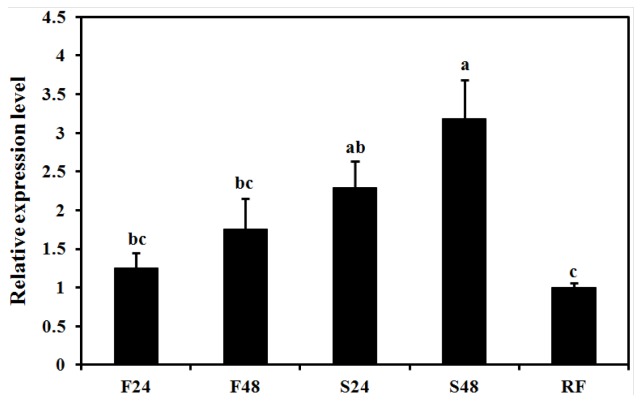 Figure 7