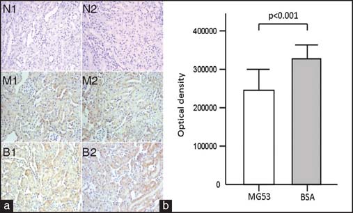 Figure 3: