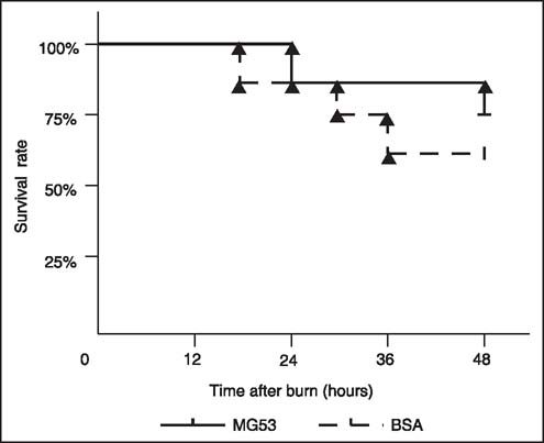 Figure 1: